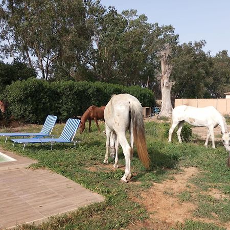 Centro Ecuestre Girasol Villa Chiclana de la Frontera Dış mekan fotoğraf