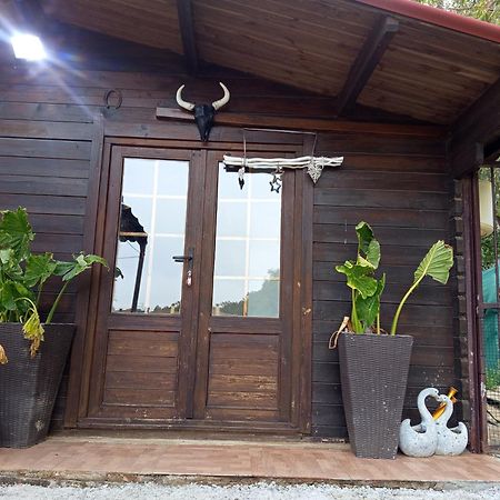 Centro Ecuestre Girasol Villa Chiclana de la Frontera Dış mekan fotoğraf